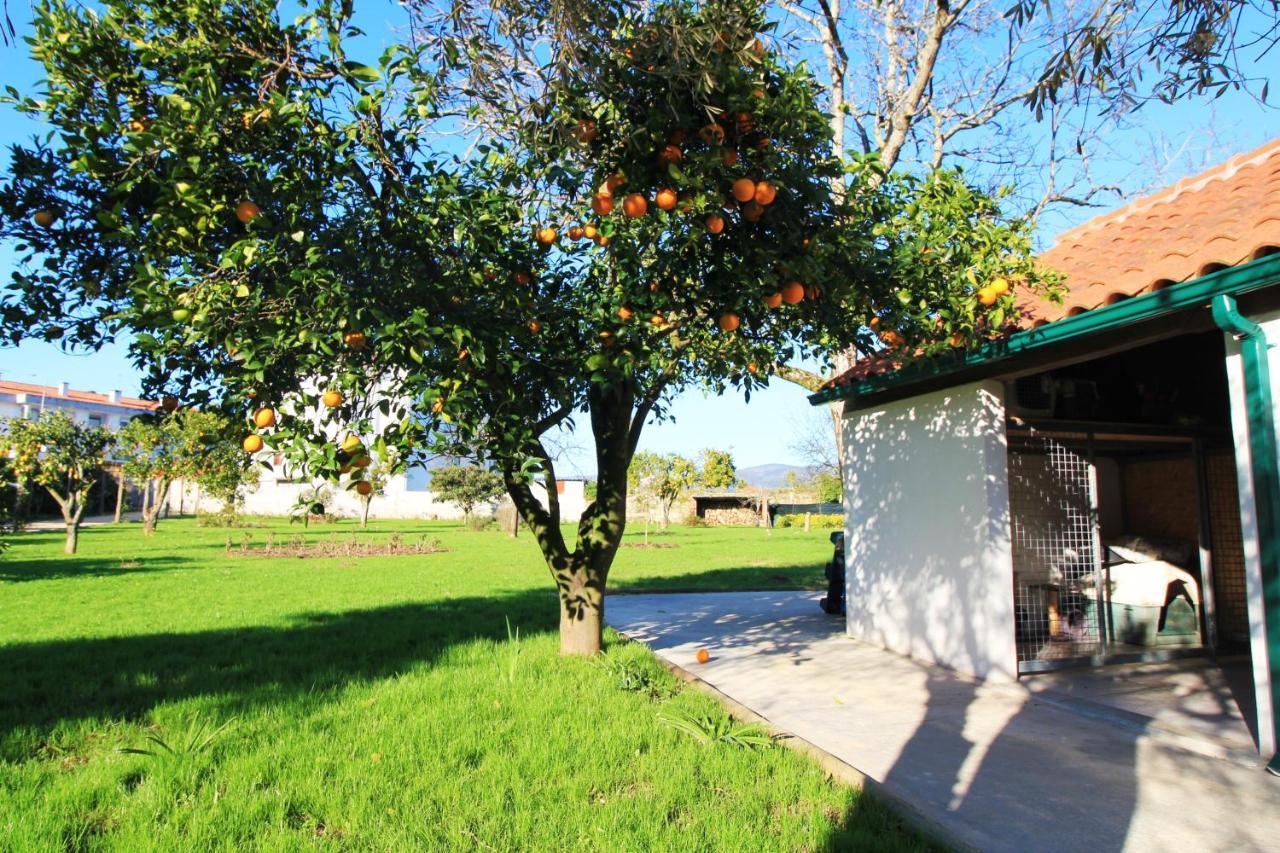 Casa Dos Ouricos Villa Ponte de Lima Bagian luar foto